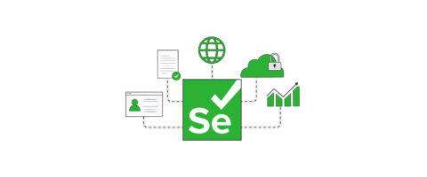 Selenium Web Scraping: A Guide on Handling Dynamic Sites